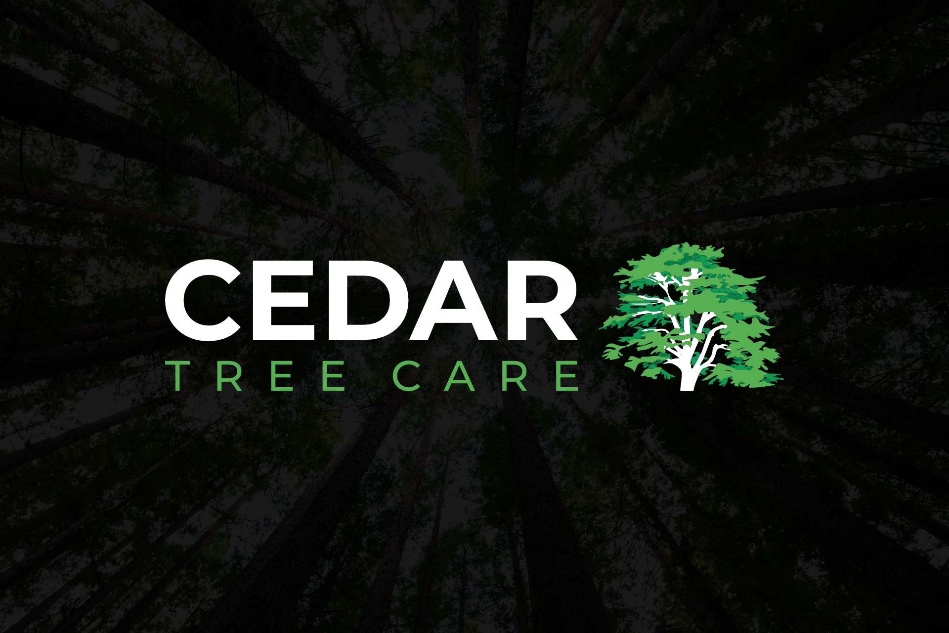 Tree Surgeons in London, Upminster, Brentwood, Chelmsford, Southend, Essex